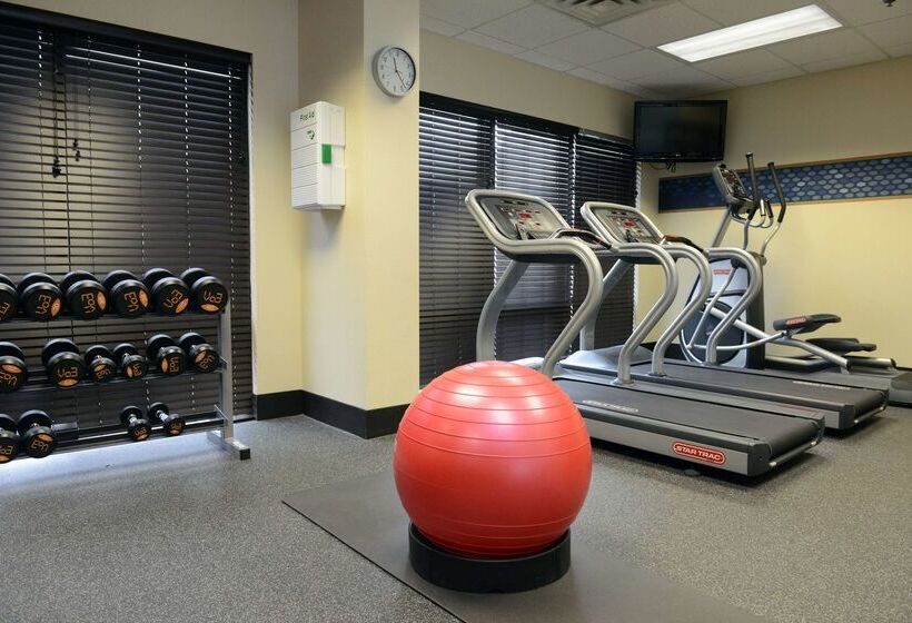 هتل Hampton Inn & Suites By Hilton Windsor