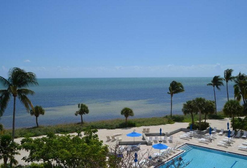 فندق 1800 Atlantic Suites