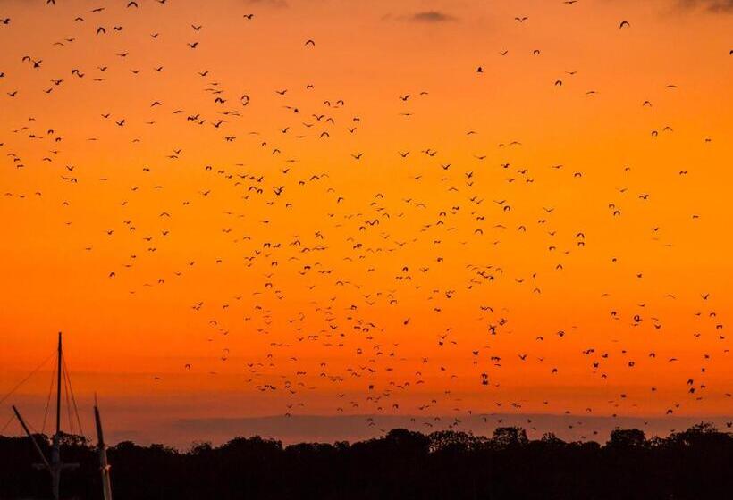 هتل Ayana Komodo Waecicu Beach
