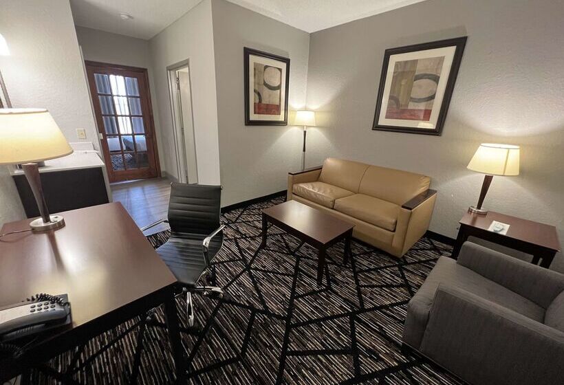 هتل Best Western Plus Hobby Airport Inn And Suites