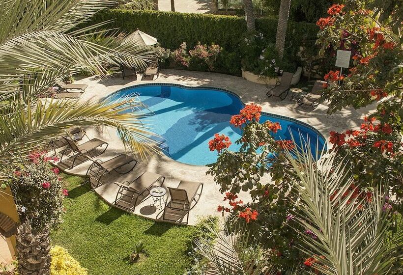 هتل El Encanto Inn & Suites
