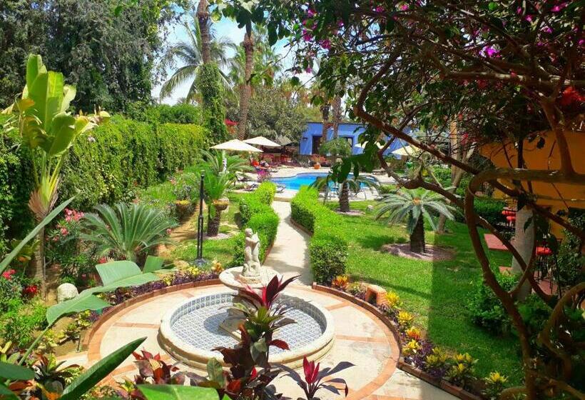 هتل El Encanto Inn & Suites