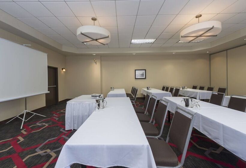 בית מלון כפרי Four Points By Sheraton Edmonton South