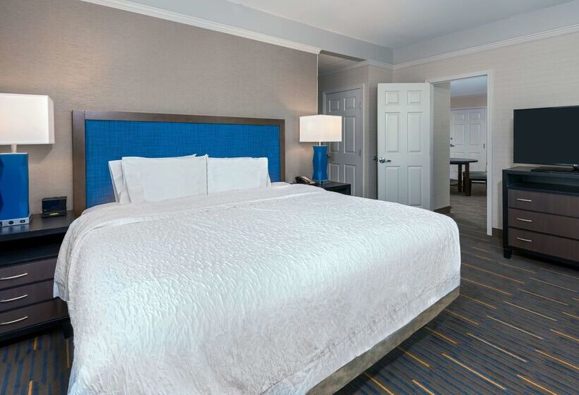 فندق Hampton Inn & Suites Buffalo Downtown