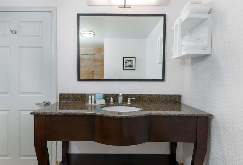 فندق Hampton Inn & Suites Buffalo Downtown