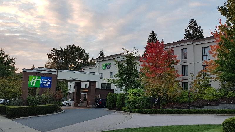 בית מלון כפרי Holiday Inn Express And Suites Surrey, An Ihg