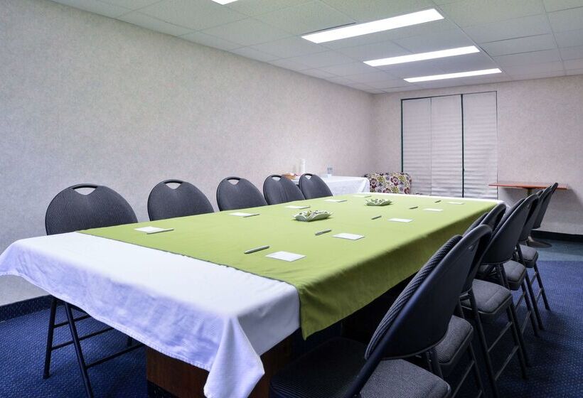 هتل Lexington Inn & Suites Windsor
