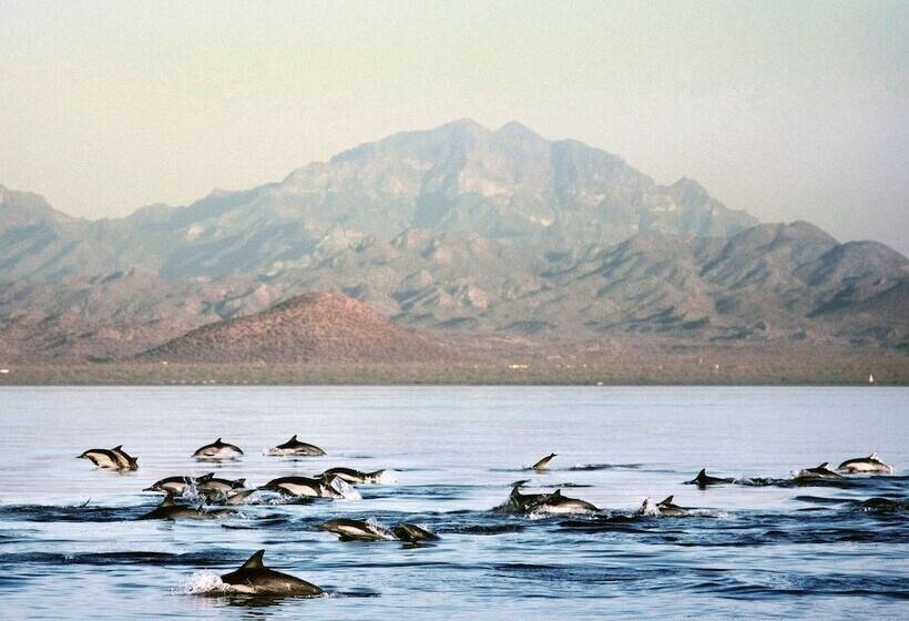 هتل Loreto Bay Golf Resort & Spa At Baja