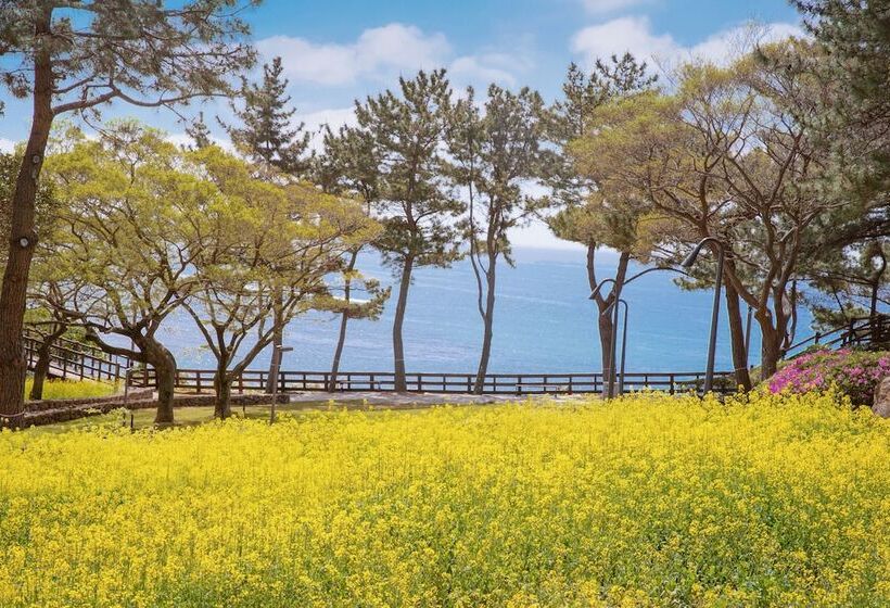 Lotte Hotel Jeju