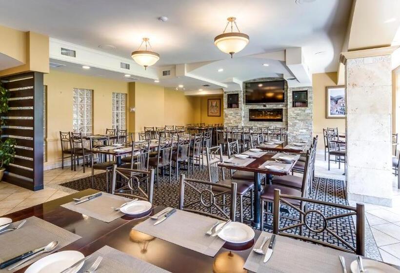 酒店 Monte Carlo Inn Markham