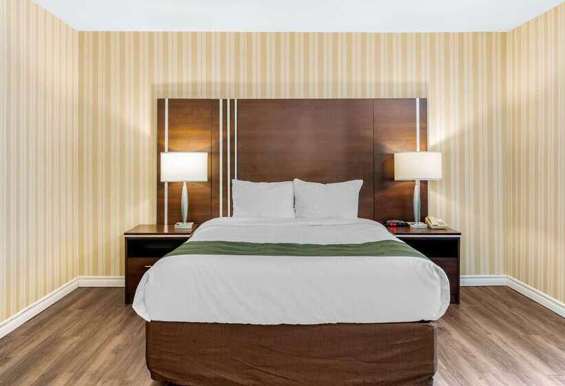 Quality Hotel & Suites