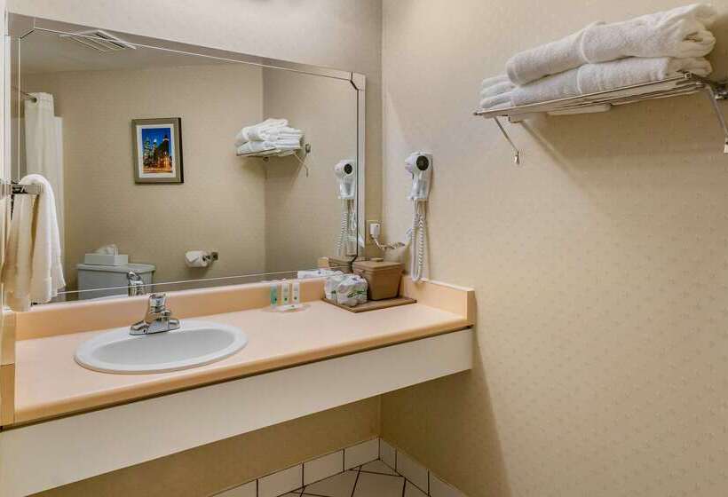 Quality Hotel & Suites
