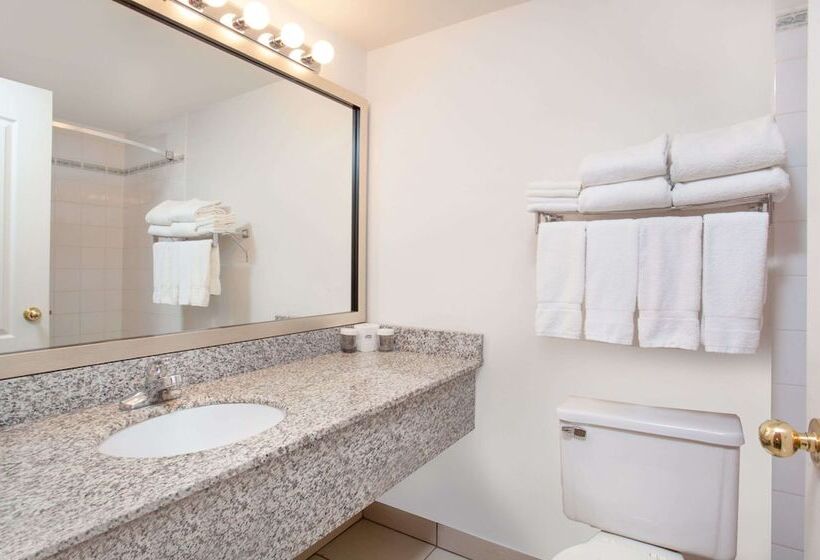 Ramada By Wyndham Red Deer Hotel & Suites
