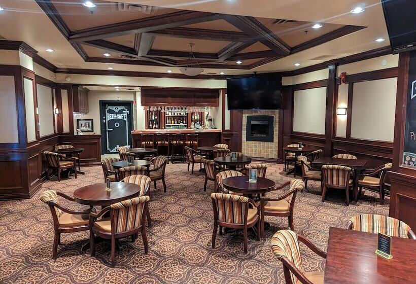 בית מלון כפרי Divya Sutra Plaza And Conference Centre Calgary Airport