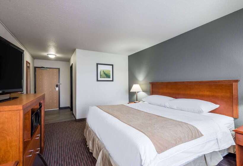מוטל Super 8 By Wyndham Grande Prairie