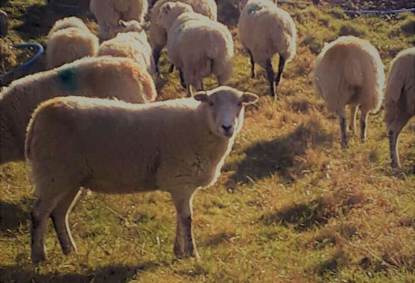 ベッドアンドブレックファースト High Greenside