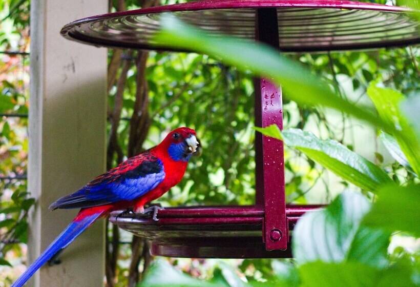 Mt Glorious Getaways
