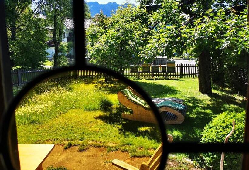 ベッドアンドブレックファースト Gästehaus Neu Am Passionstheater