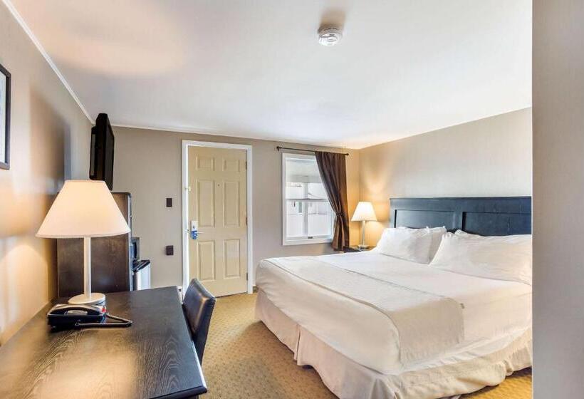 فندق على الطريق Rodeway Inn