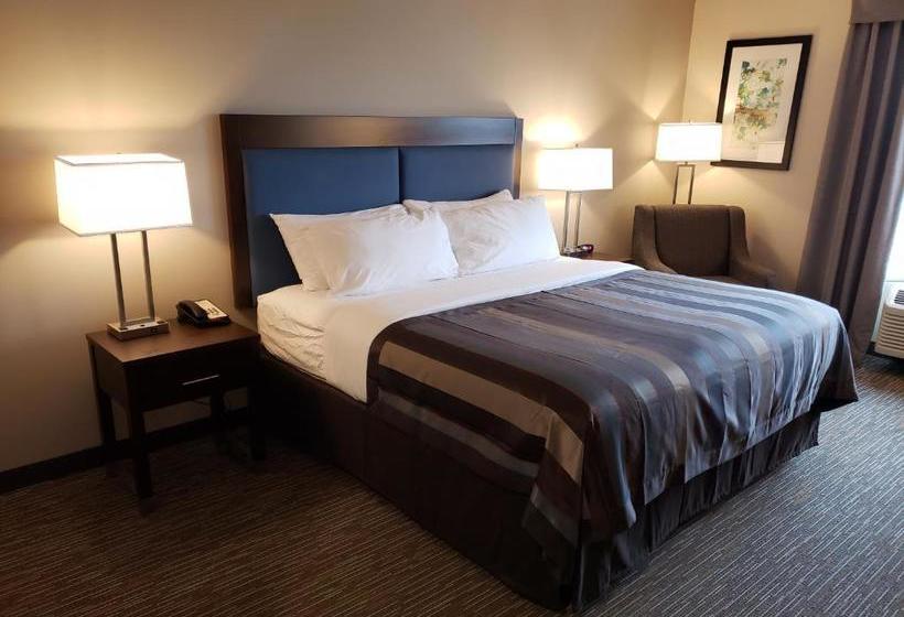 酒店 Wingate By Wyndham Christiansburg