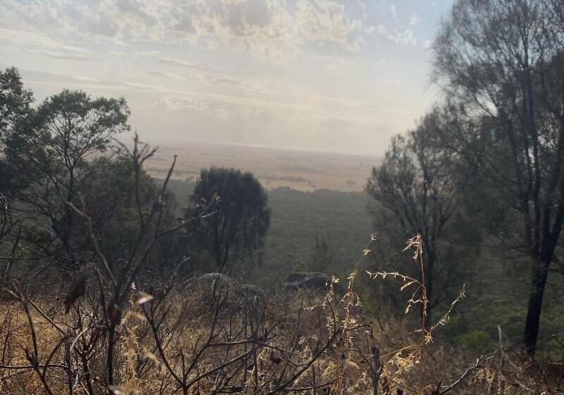 بنسيون Sweet Dreams Retreat At Lara