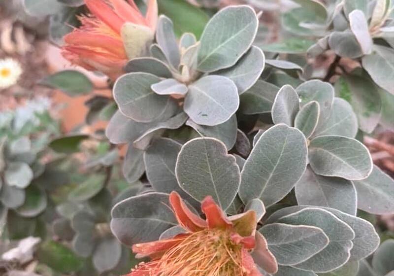 بنسيون Sweet Dreams Retreat At Lara