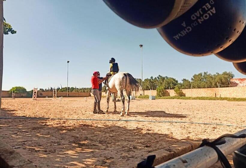 ホテル Equi Palace & Spa Near Aeroport