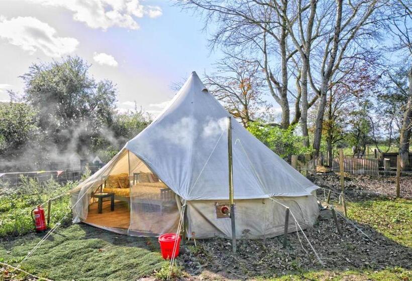 בית מלון כפרי Willow Barn