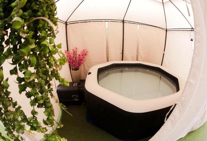 膳宿费 Hot Spa E Piscina Climatizada   Castelinho Sol E Mar