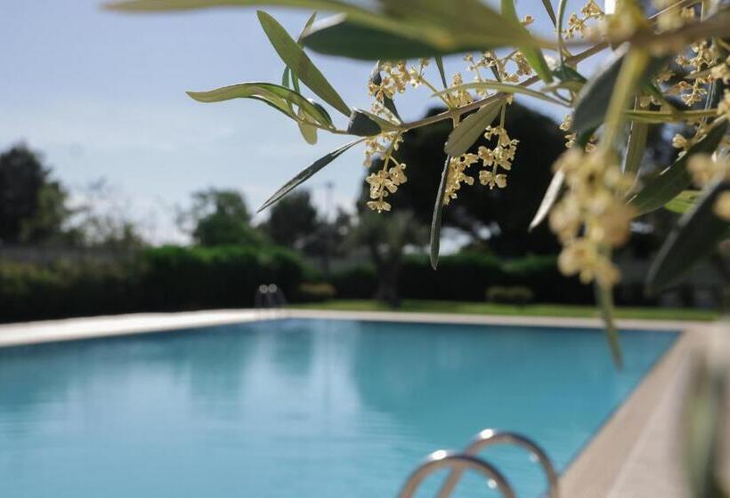 هتل Salapia Salis Resort