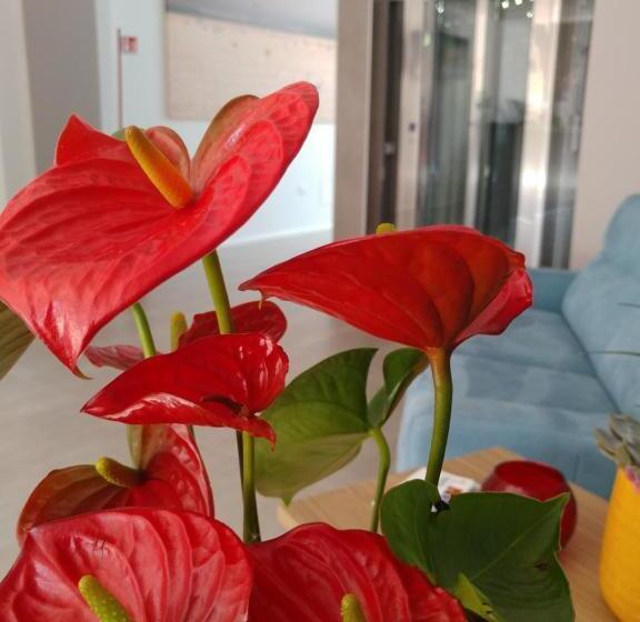 هتل Salapia Salis Resort