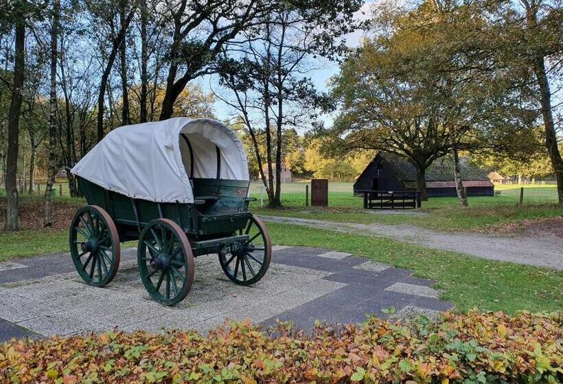 B&b Drenthe