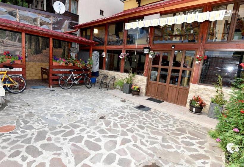פנסיון Casa Tudor