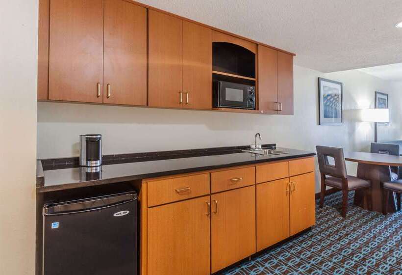 هتل Wingate By Wyndham Schaumburg