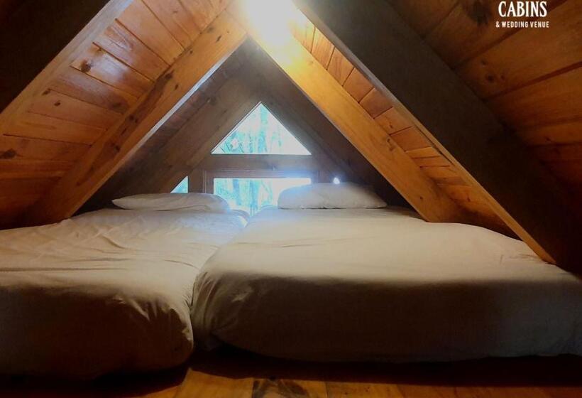 هاستل Plett Forest Cabins