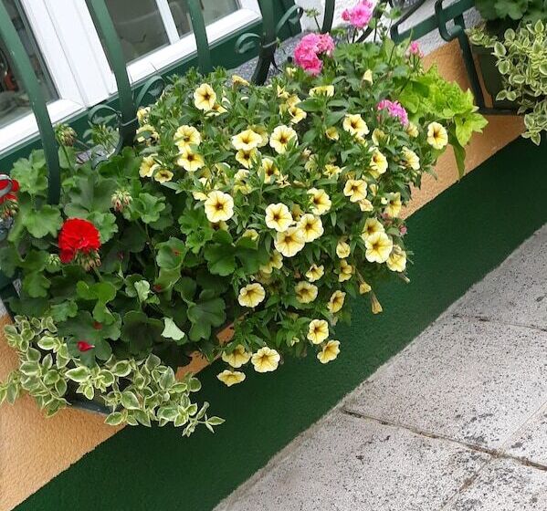 酒店 Gasthof Pension Waldhof