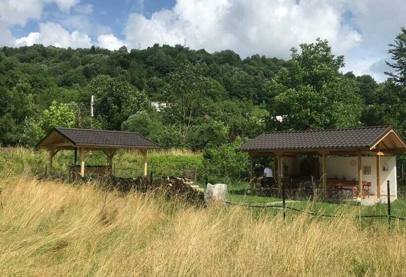 پانسیون Guest House Carpathia