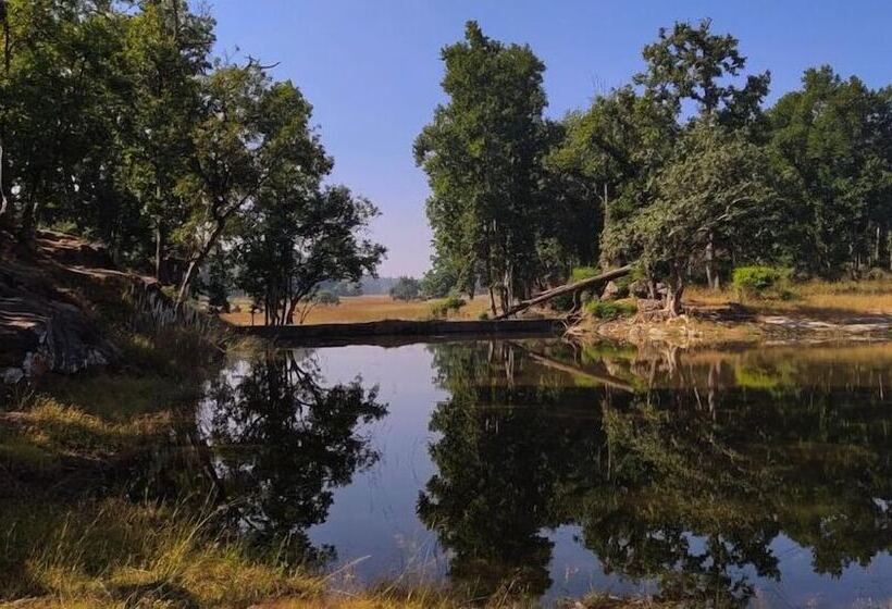 فندق Bagh Tola, Bandhavgarh