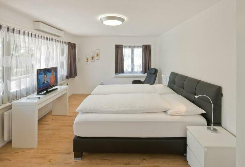 בית מלון כפרי Central