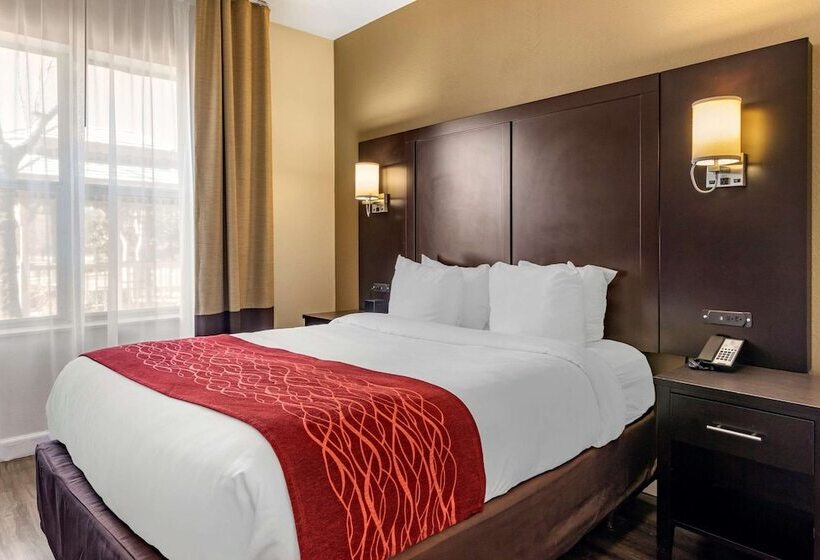 هتل Comfort Inn & Suites Near Six Flags