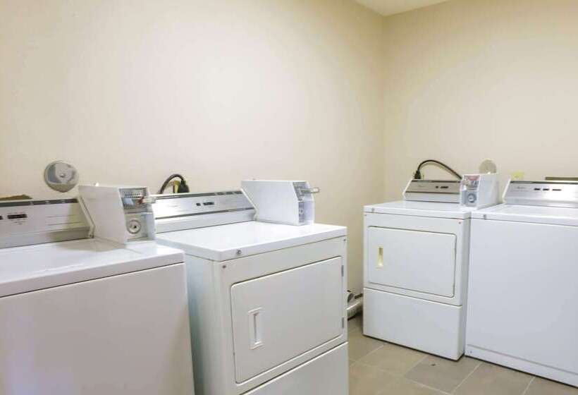 בית מלון כפרי Super 8 By Wyndham San Antonio Airport North