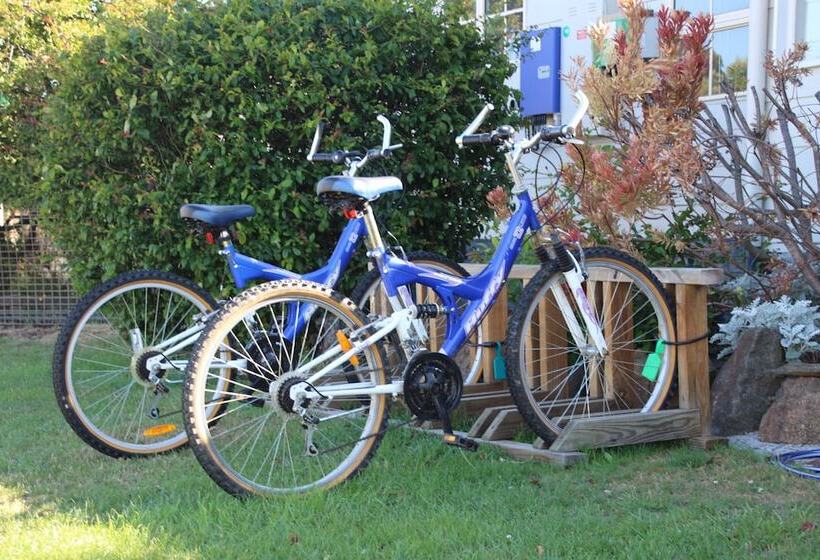 هتل Swansea Cottages & Lodge Suites