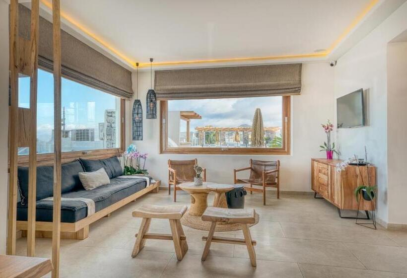 هتل Damianos Mykonos