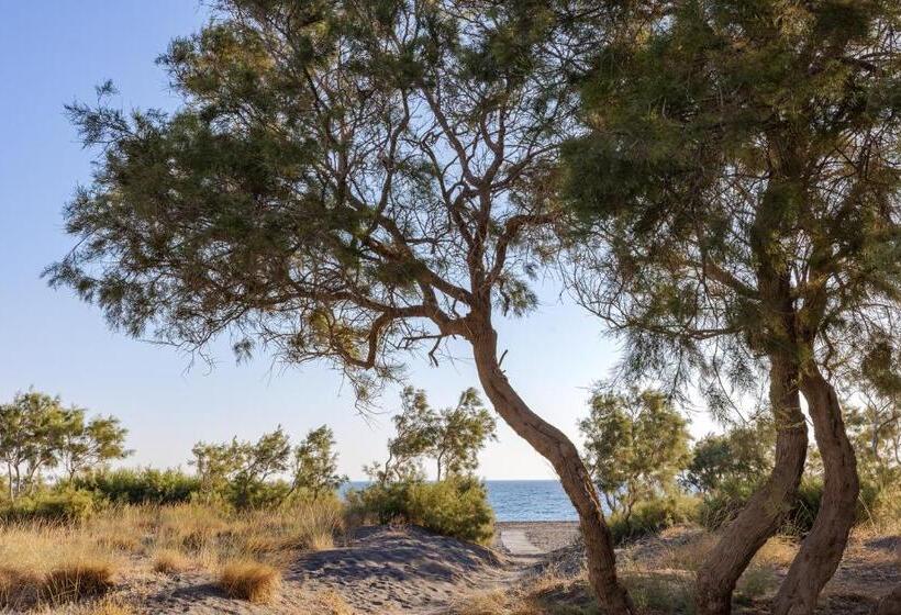 Scorpios Beach
