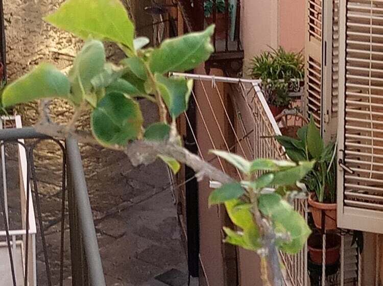 B&b Vento Di Terra
