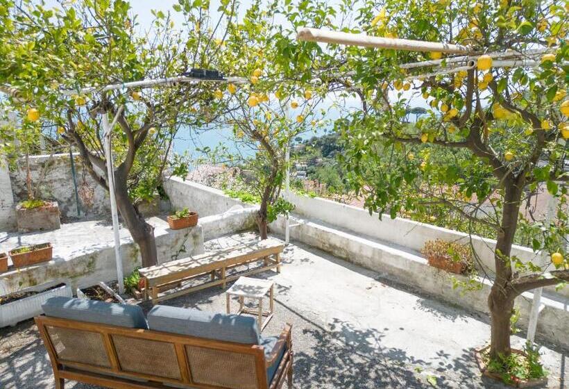 تختخواب و صبحانه Casa Niná