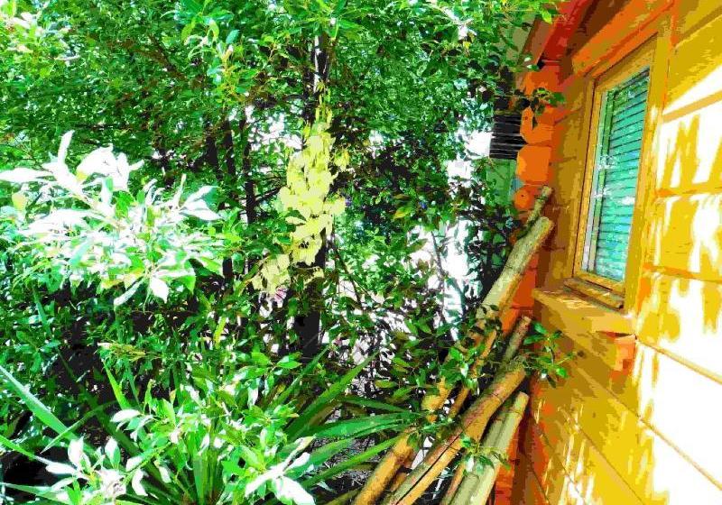 Bed and Breakfast Le Portel Des Arnaud