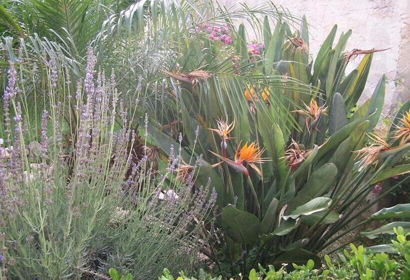 Mariposa Bed And Breakfast