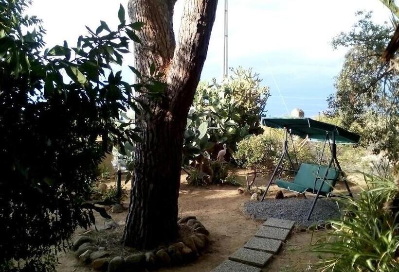 B&b Il Vigneto
