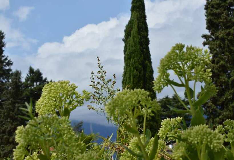 هتل Villa Freiheim